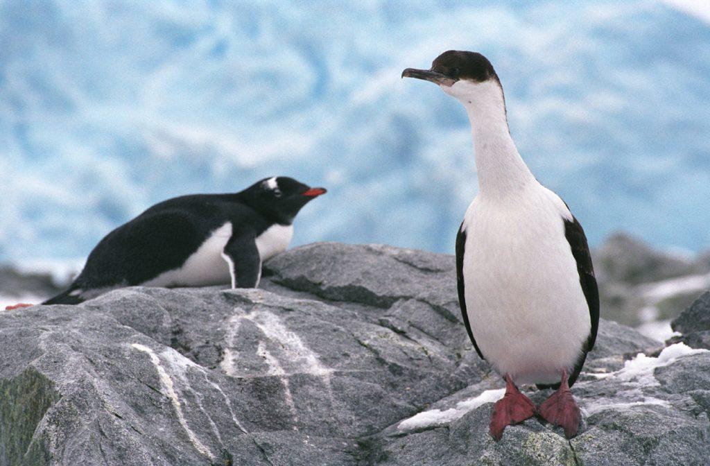 Filming Location Image