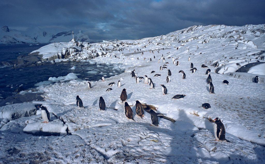 Filming Location Image